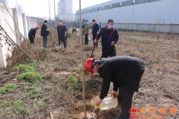 微信圖片_20200313150326 微信圖片_20200313150326